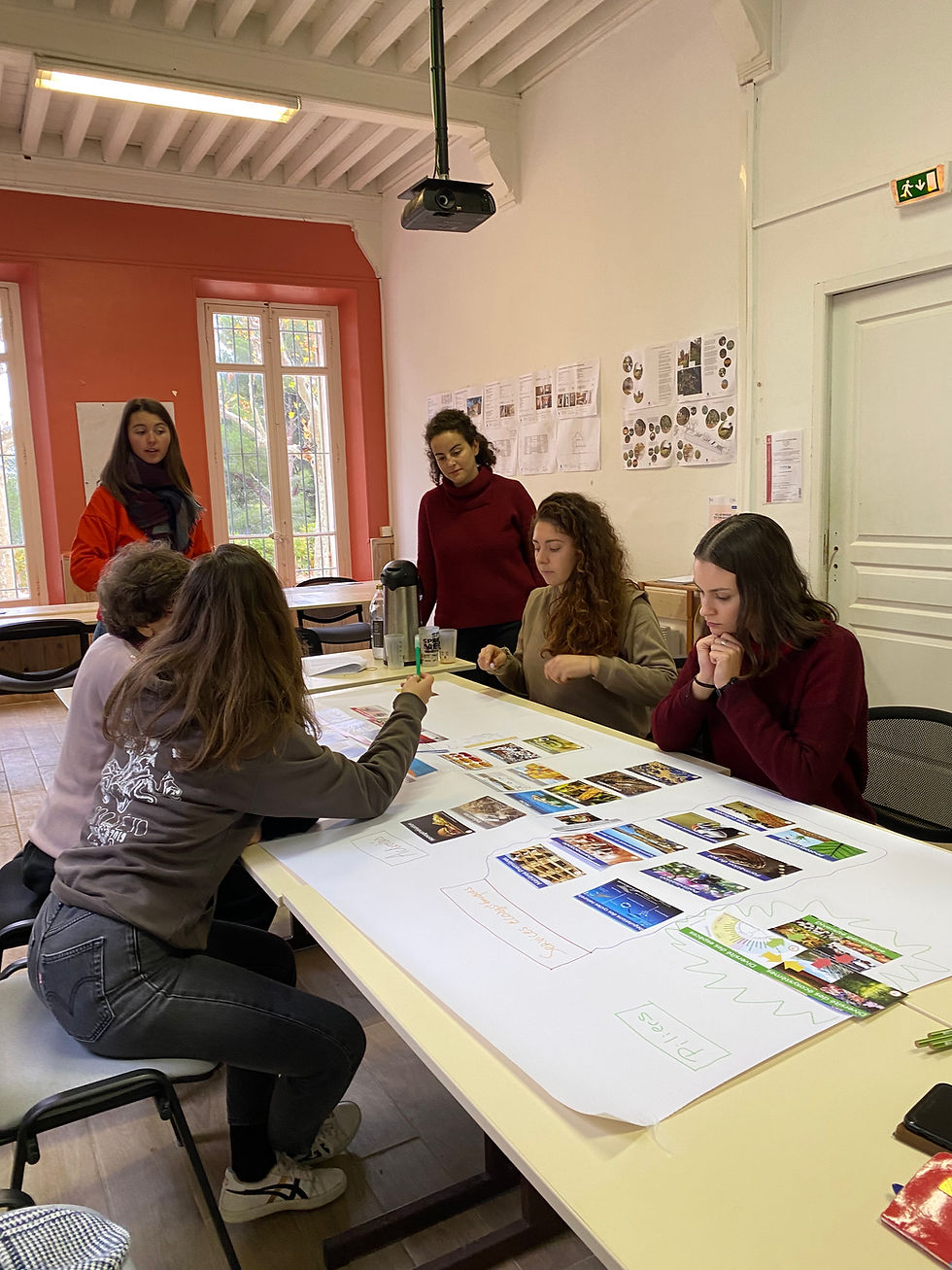 Miniature : Fresque de la Biodiversité