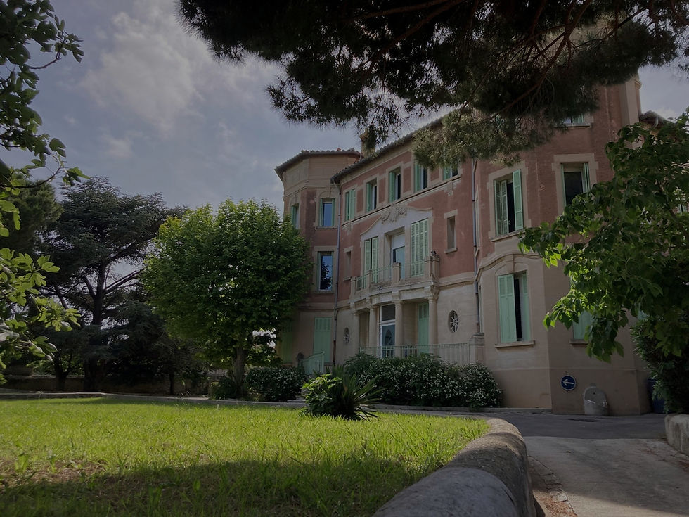 Villa des Pins 1_edited.jpg