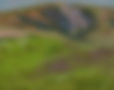 Doug-Andelin-Landscapes-2023-SWC09854_edited.jpg