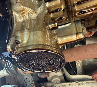 Oil pickup contaminated with wet belt debris from a deteriorating Ford wet belt