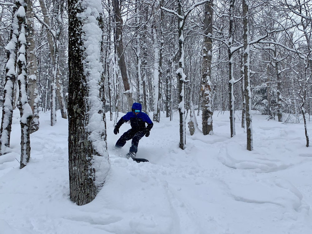 The LowKey Lure of Gore