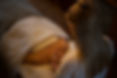 IMG_7003.jpeg