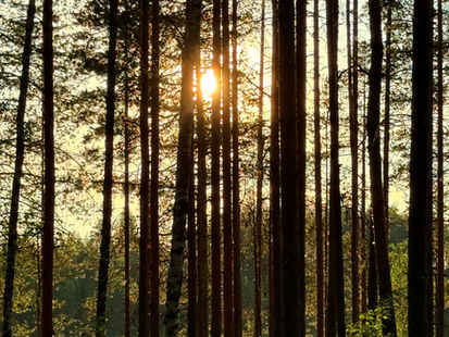 Tehomaksu on uusi tehokas tapa rahastaa