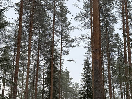 Erityistalousalue Keski-Savoon on hyvä mahdollisuus