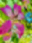 9f46f0d9-ed87-4955-bd09-08dffa73c946.jpe