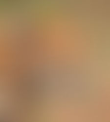 10 Critical Reasons to Use a Travel Advisor For African Travel