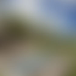 Our Next Great Africa Experience - Want to Join Us?