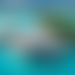 Why Book Your Luxury Hotel With Me?