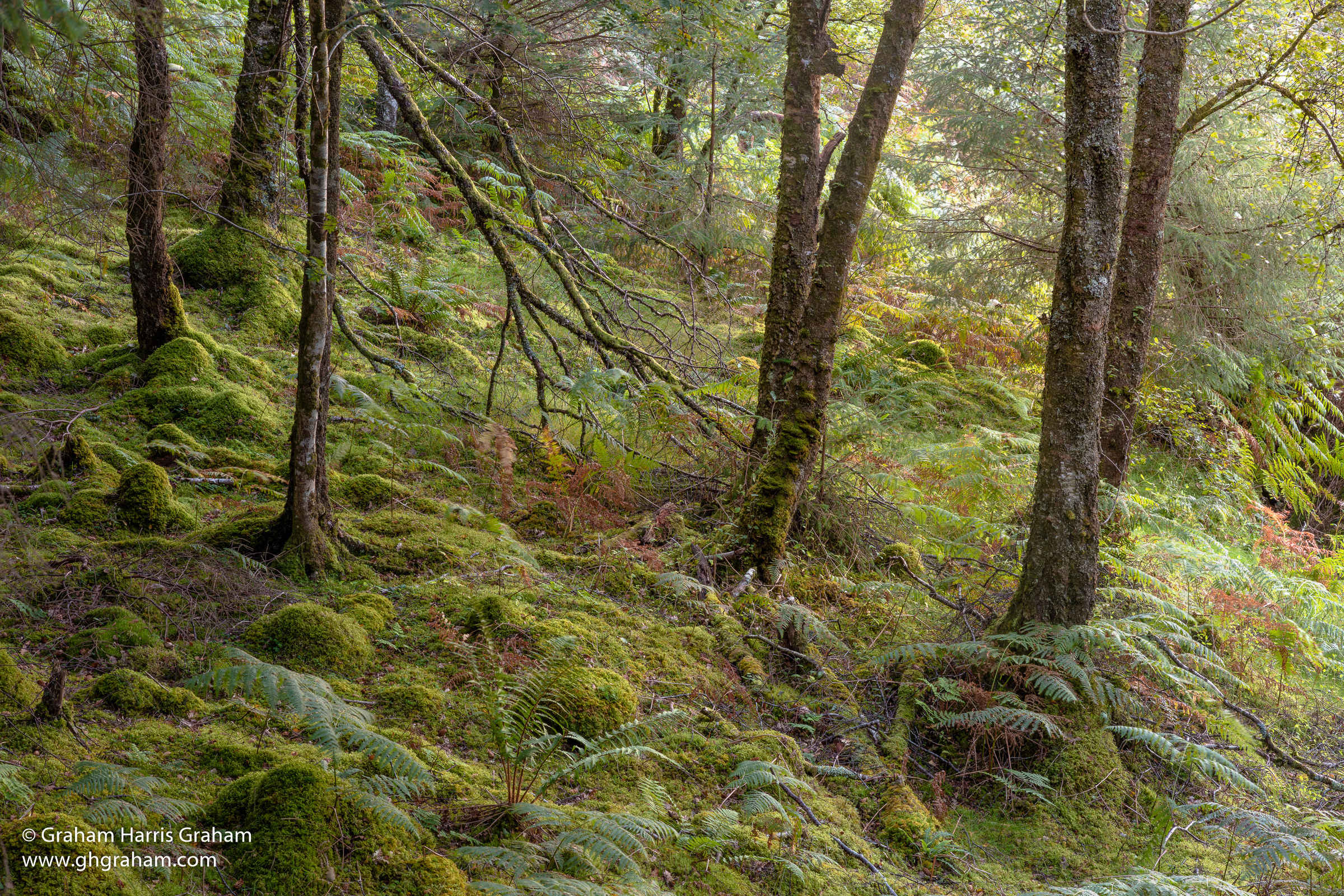Gleann Èite (Glen Etive)