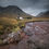 Miniaturbild: Lagangarbh, Rannoch Moor, Lochaber (nur Druck)