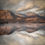 Miniaturbild: The Blackmount, Rannoch Moor, Argyll
