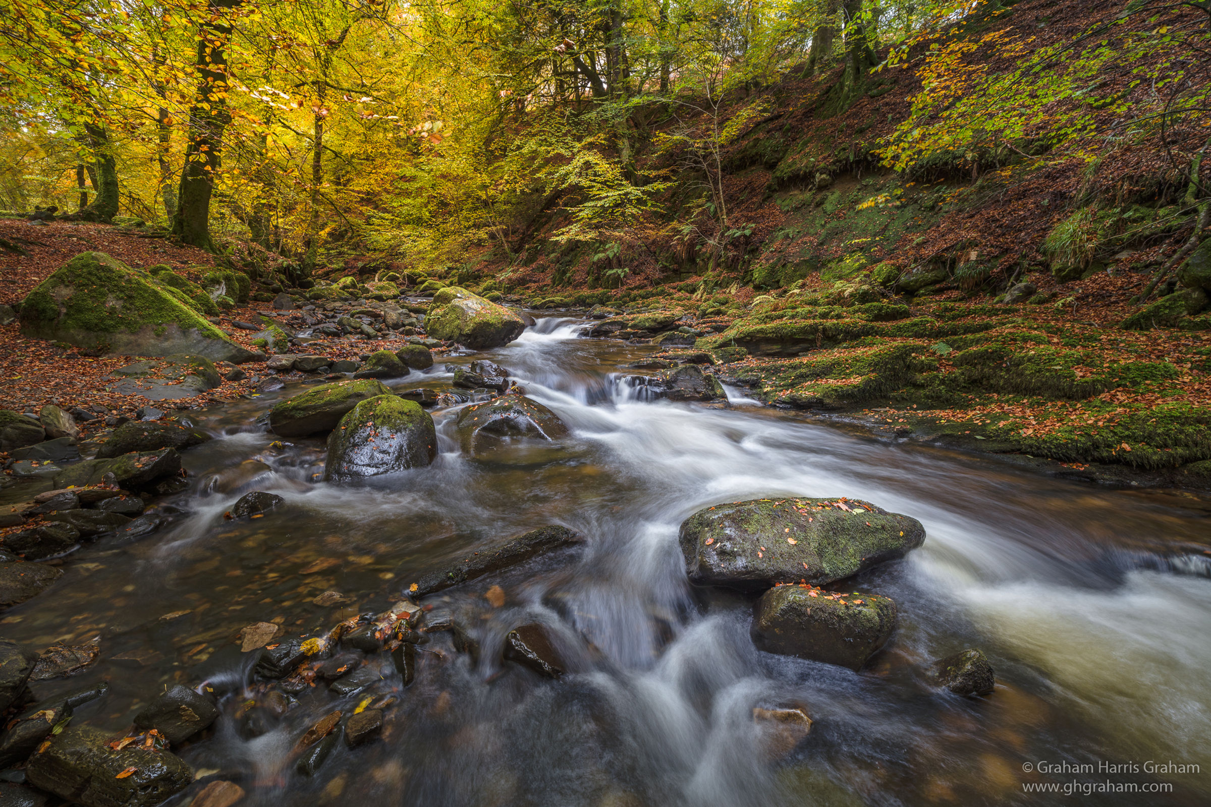 Birks Of Aberfeldy, Perthshire