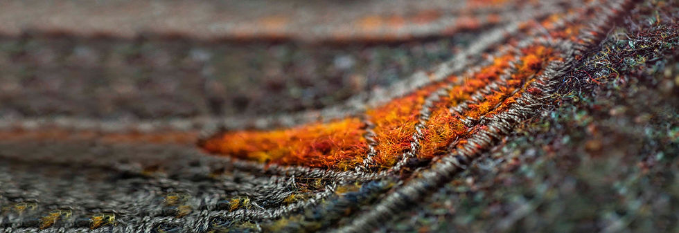 _MDP6579 Banner Website.jpg