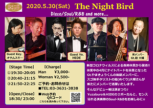 200530_ナイトバード(正式).png