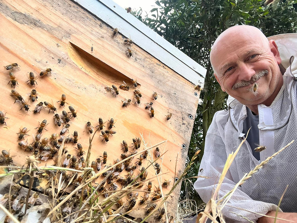 Thumbnail: Polish Beekeeper 1kg Honey