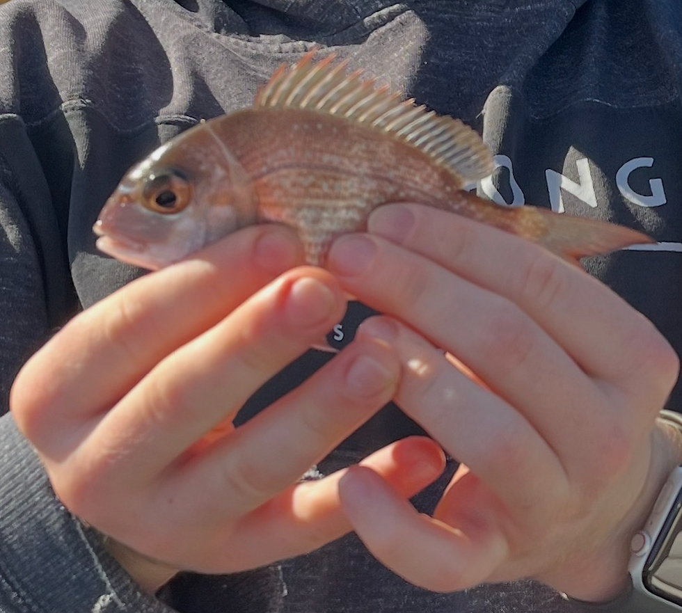 Size Does Matter(??)