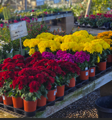 Screenshot 2025-11-06 155631