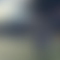 Bwletin y Pennaeth - 21/11/2025 - The Head's Bulletin