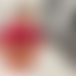 27/02/2026 - Yr Wythnos Dan Ffocws | The Week in Focus