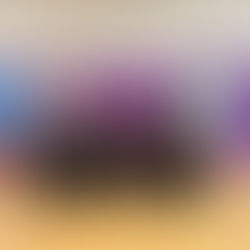 15/03/2023 - Yr Wythnos Dan Ffocws | The Week in Focus