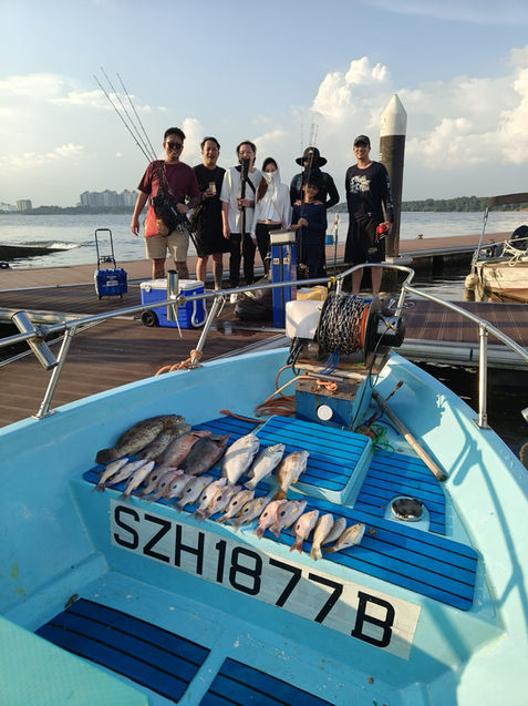 Full outdoor shot of a group of people on a pier, next to a light-blue fishing boat filled with fish. 

The foreground shows the interior of the light-blue boat, which is filled with a variety of caught fish laid out on the deck. A large, light-blue license plate, reading "SZH1877B", is visible on the boat's interior. The boat's interior decking is a series of light-blue horizontal slats.

The mid-ground shows a group of approximately eight individuals standing on a wooden pier, next to the boat. They are dressed in casual attire, likely for fishing.  Several fishing rods are visible extending from the pier. Some people appear to be holding fishing rods. There are cooler boxes and other fishing gear present on the pier.

The background shows a flat, calm, light-gray body of water.  Buildings and other structures are visible in the distance, suggesting a shoreline. The sky is a mostly clear, light-blue and white, with some scattered clouds. A tall, light-tan/beige marker post extends upward from the pier in the middle ground.