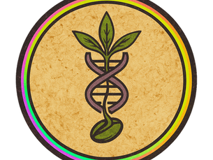 Heat and Drought Resilience of Terpenes in Cannabis and Desert Plants