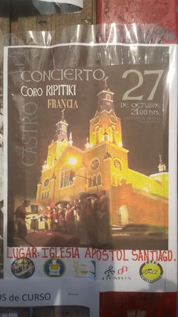 Affiche concert à Castro
