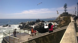 Viña del Mar