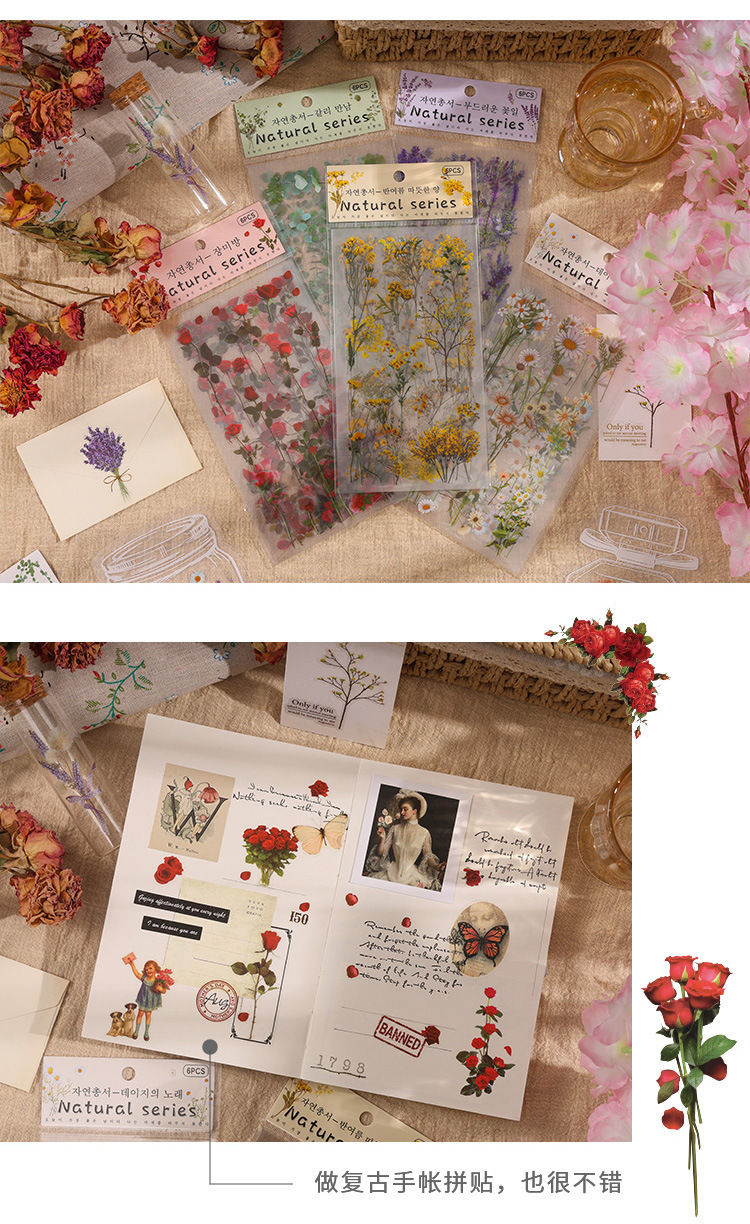 Thumbnail: Nature Series Handbook Retro PVC Sticker 