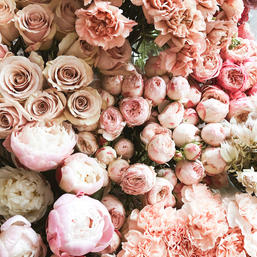 Rose Oud