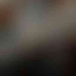 Large crowd in a gymnasium, all-school reunion, watching a presentation, seated.