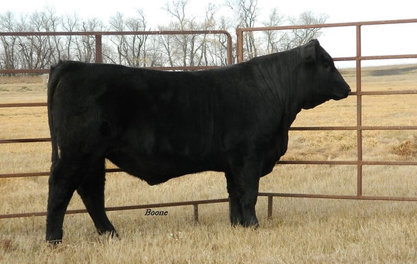 JBAR Upperlevel 821A.jpg