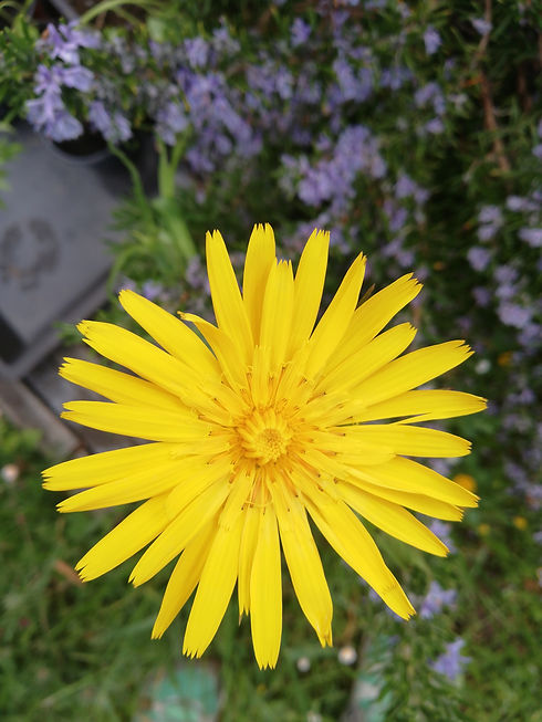 Ateliers-Enfants-Nature-Lavaux