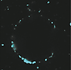 TetheringFigureSquare_edited_edited.png