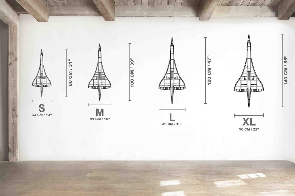 Thumbnail: Concorde Vertical Metal Silhouette