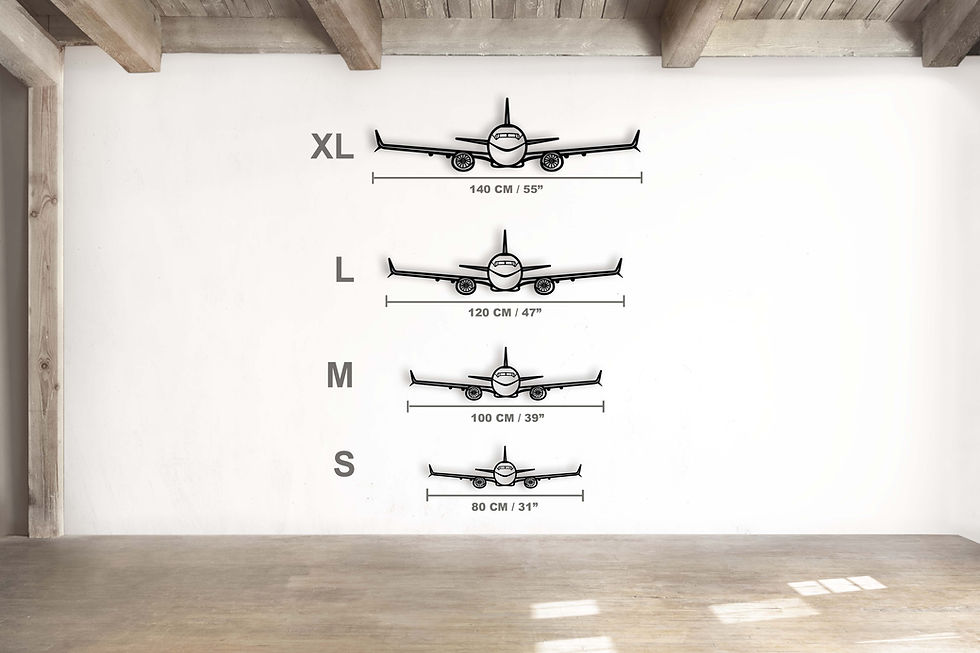 Thumbnail: Boeing 737 Max Metal Silhouette