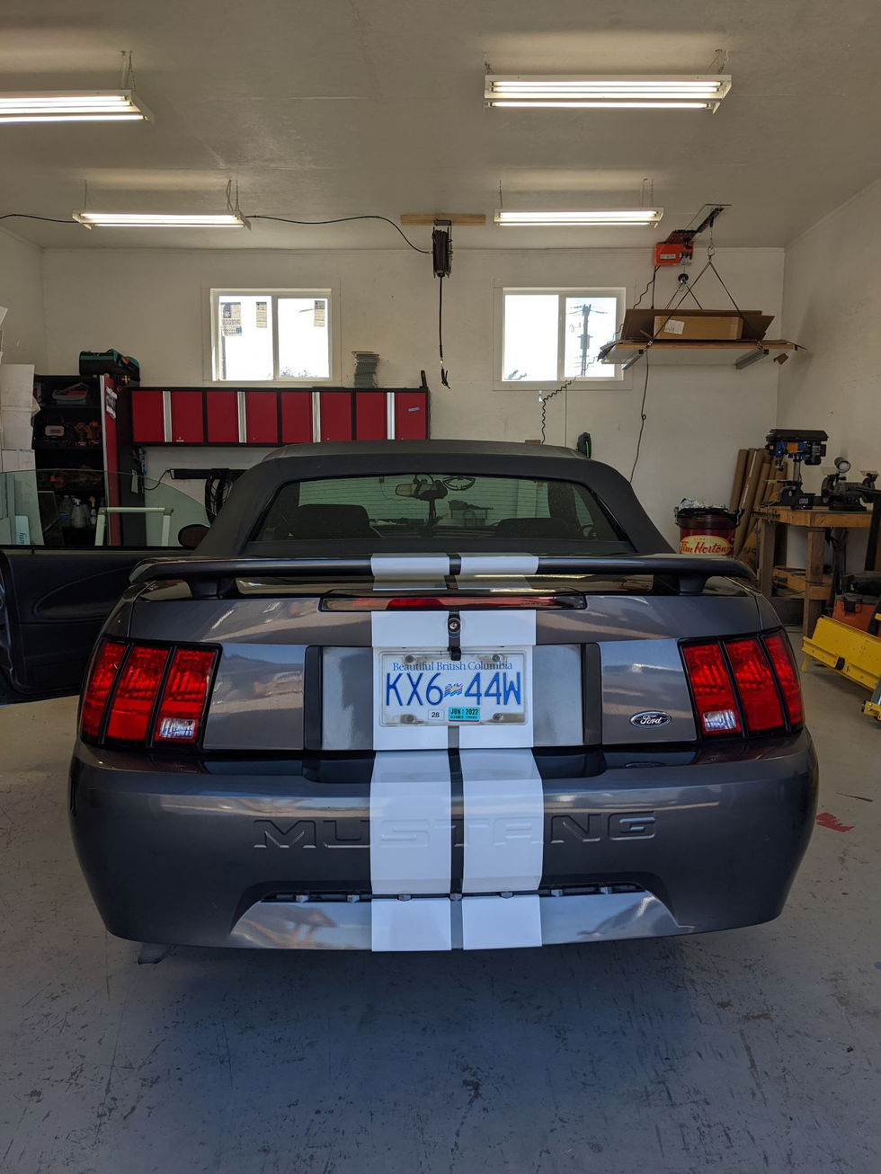 Mustang Stripes 1