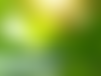 Reiki am Niederrhein wenn dein System zur Ruhe kommen darf