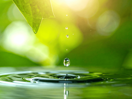 Reiki am Niederrhein wenn dein System zur Ruhe kommen darf