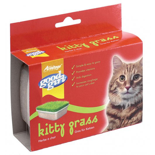 Good Girl Kitty Grass
