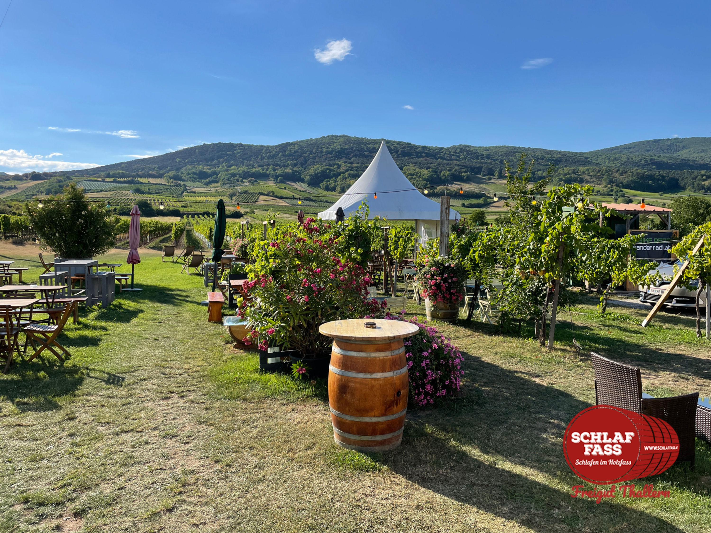 Entspannt Weinbeissen