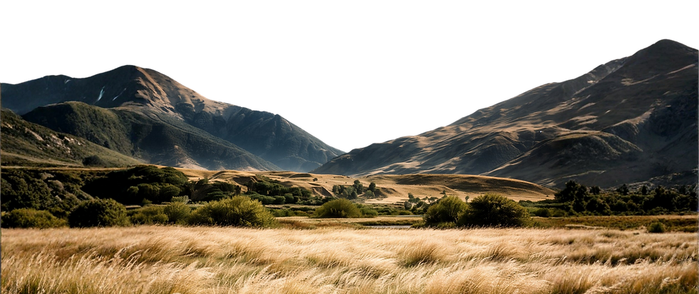 Desserted land