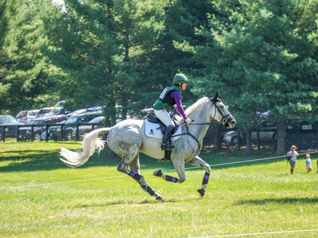 Horse Show Checklist