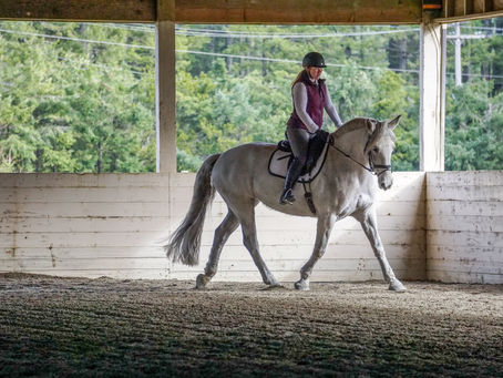 Morgan and Gracie | Windstone Farm | Port Orchard, WA