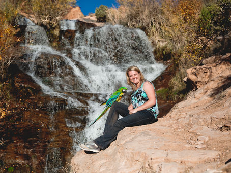 How to Traverse the Cliffs of Animal Mom Guilt