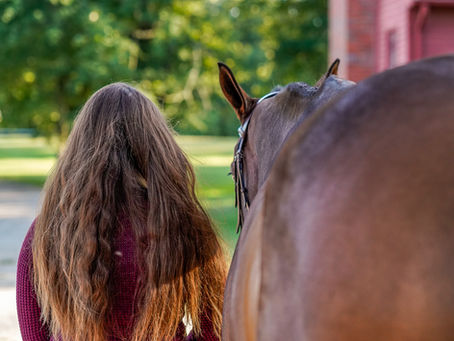 Sara and On the Rocks | Windcrest Farm | Hebron, CT