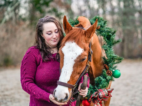 Nicole and North Stardom | Queensway Farm | East Lyme, CT