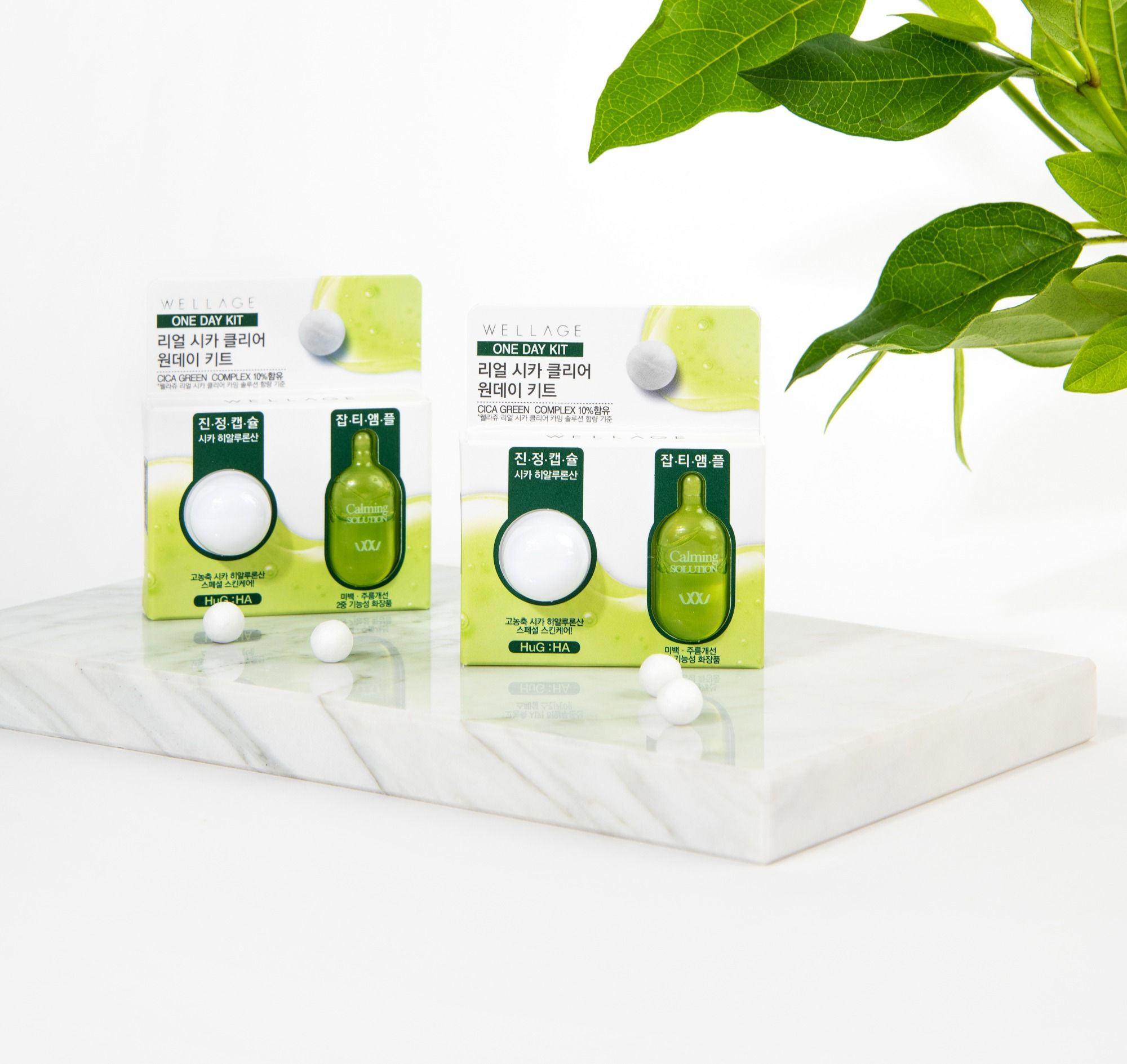 ONE DAY KIT Real Cica Clear