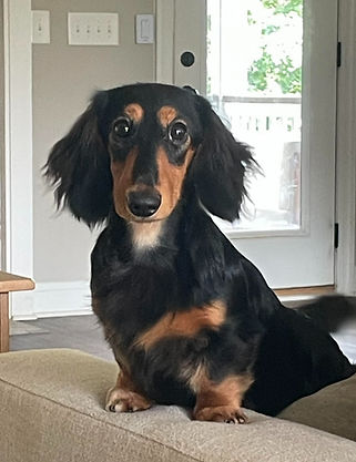 bean face_edited.jpg