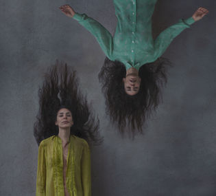 LE FRESNE ET LA CODRE